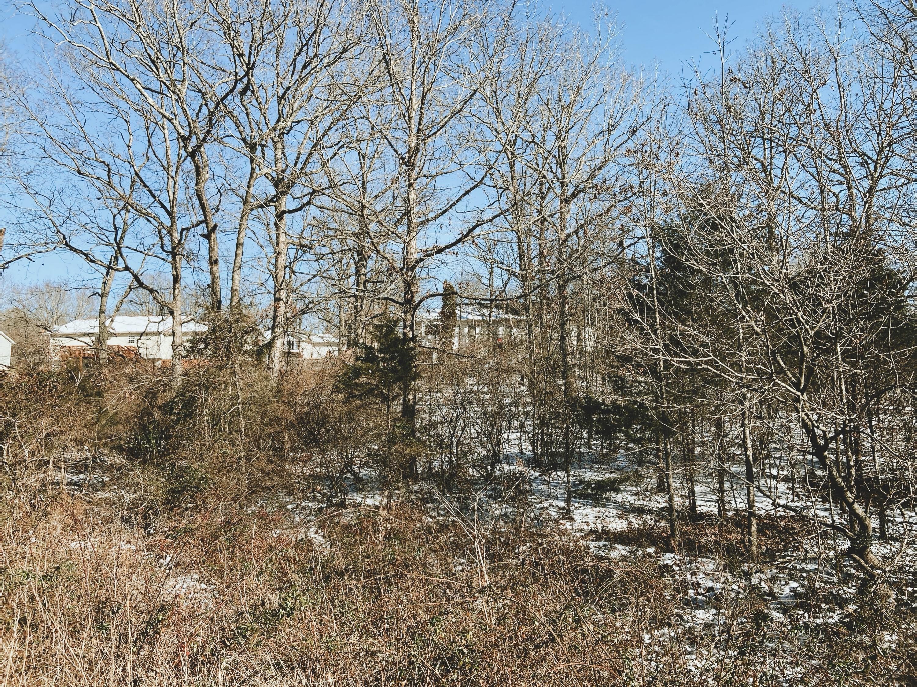Photo 2 - Land for sale – 000  Ginger Lot 9   West Plains, MO