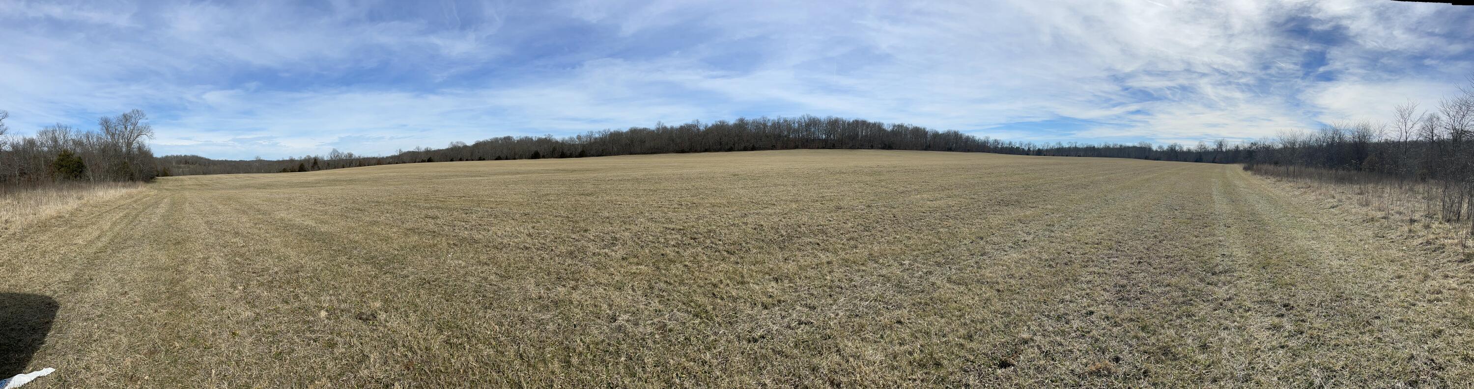 Photo 6 - Land for sale – Tract 1  County Road 14-534   Ava, MO
