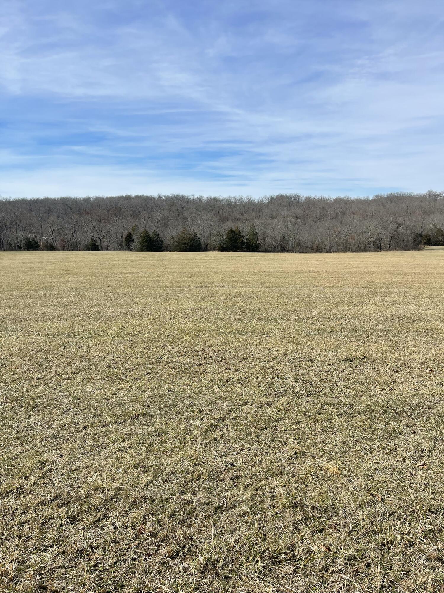 Photo 3 - Land for sale – Tract 1  County Road 14-534   Ava, MO