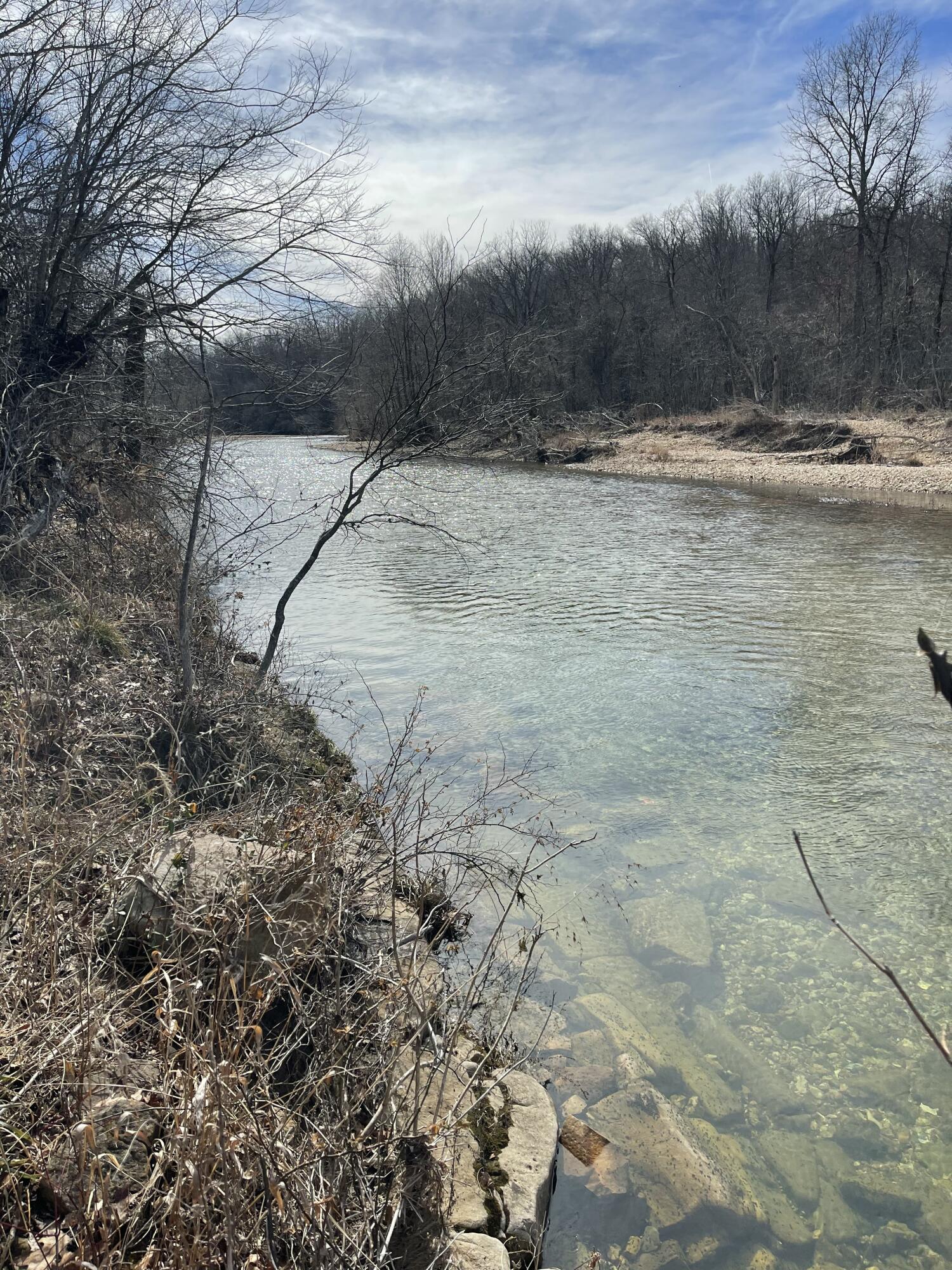 Photo 25 - Land for sale – Tract 1  County Road 14-534   Ava, MO