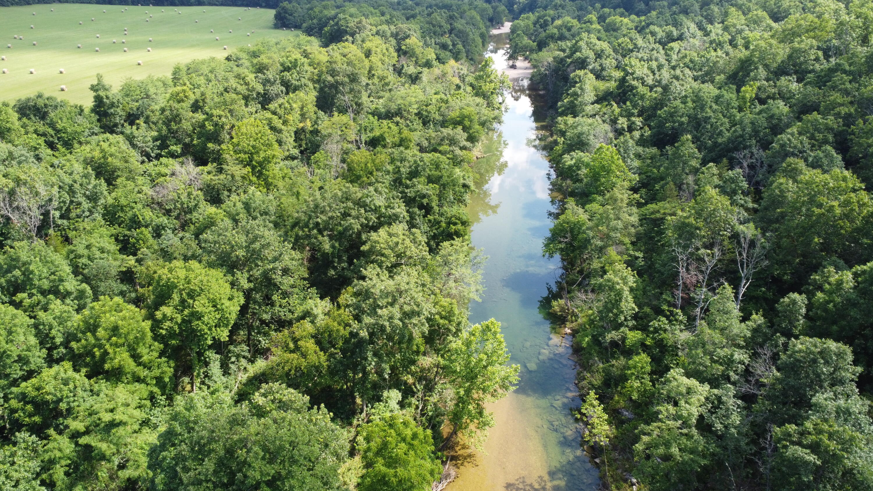 Photo 34 - Land for sale – Tract 1  County Road 14-534   Ava, MO