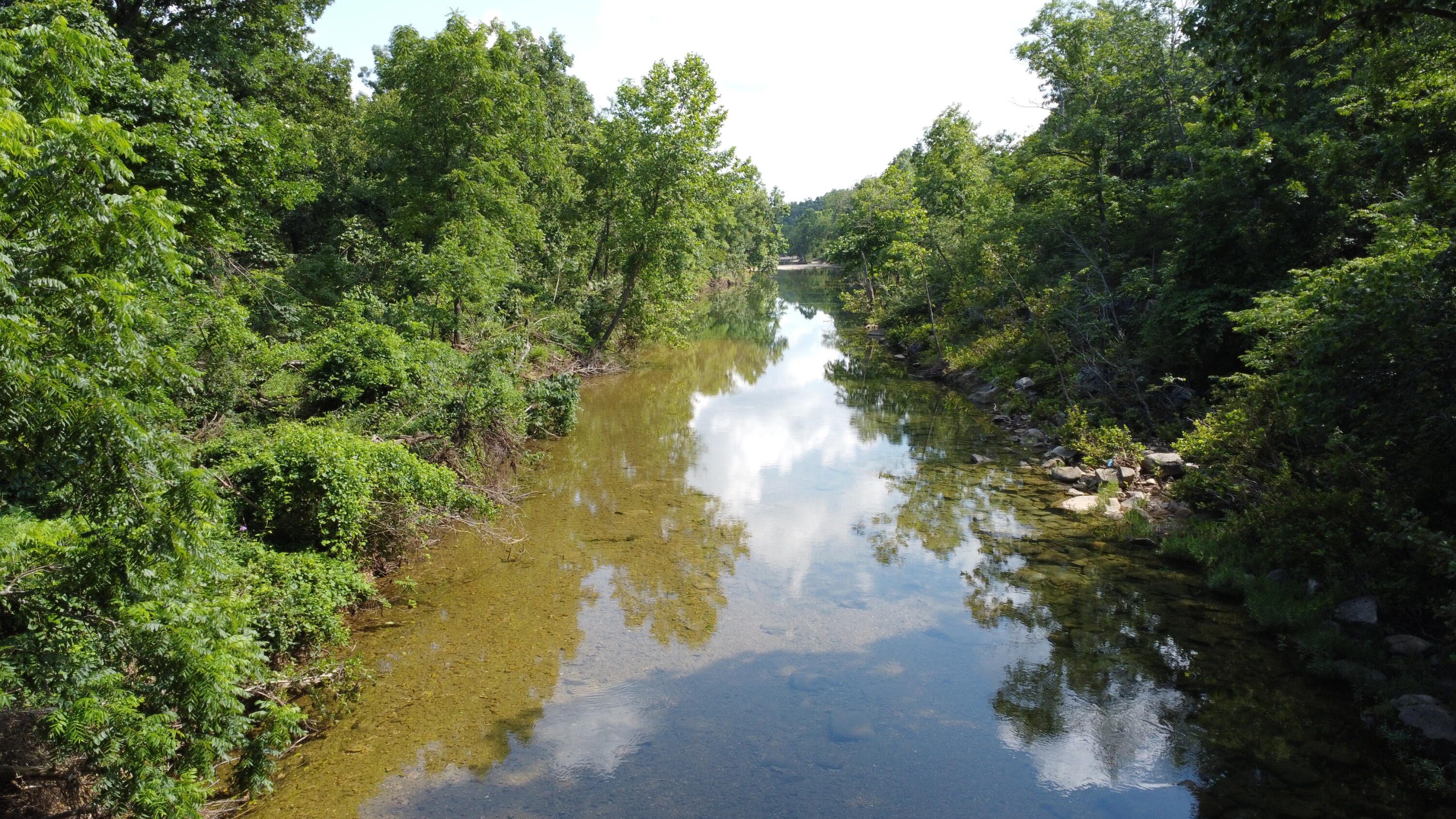 Photo 35 - Land for sale – Tract 1  County Road 14-534   Ava, MO