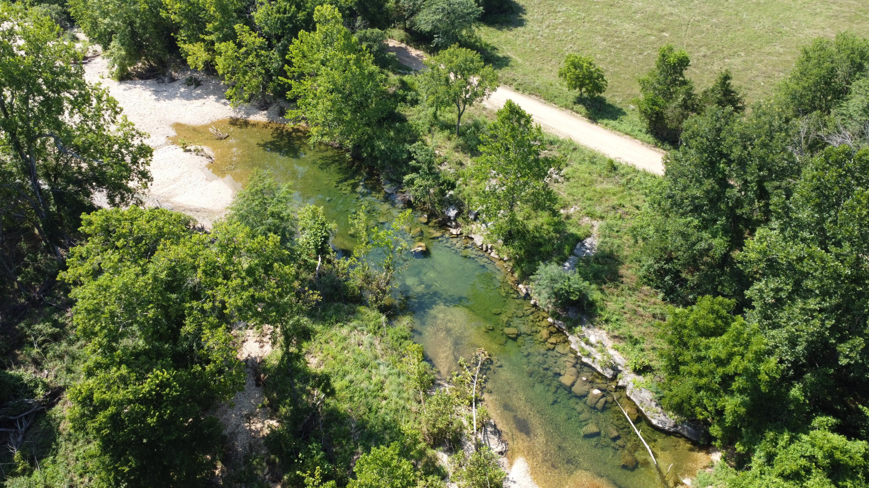 Photo 44 - Land for sale – Tract 1  County Road 14-534   Ava, MO