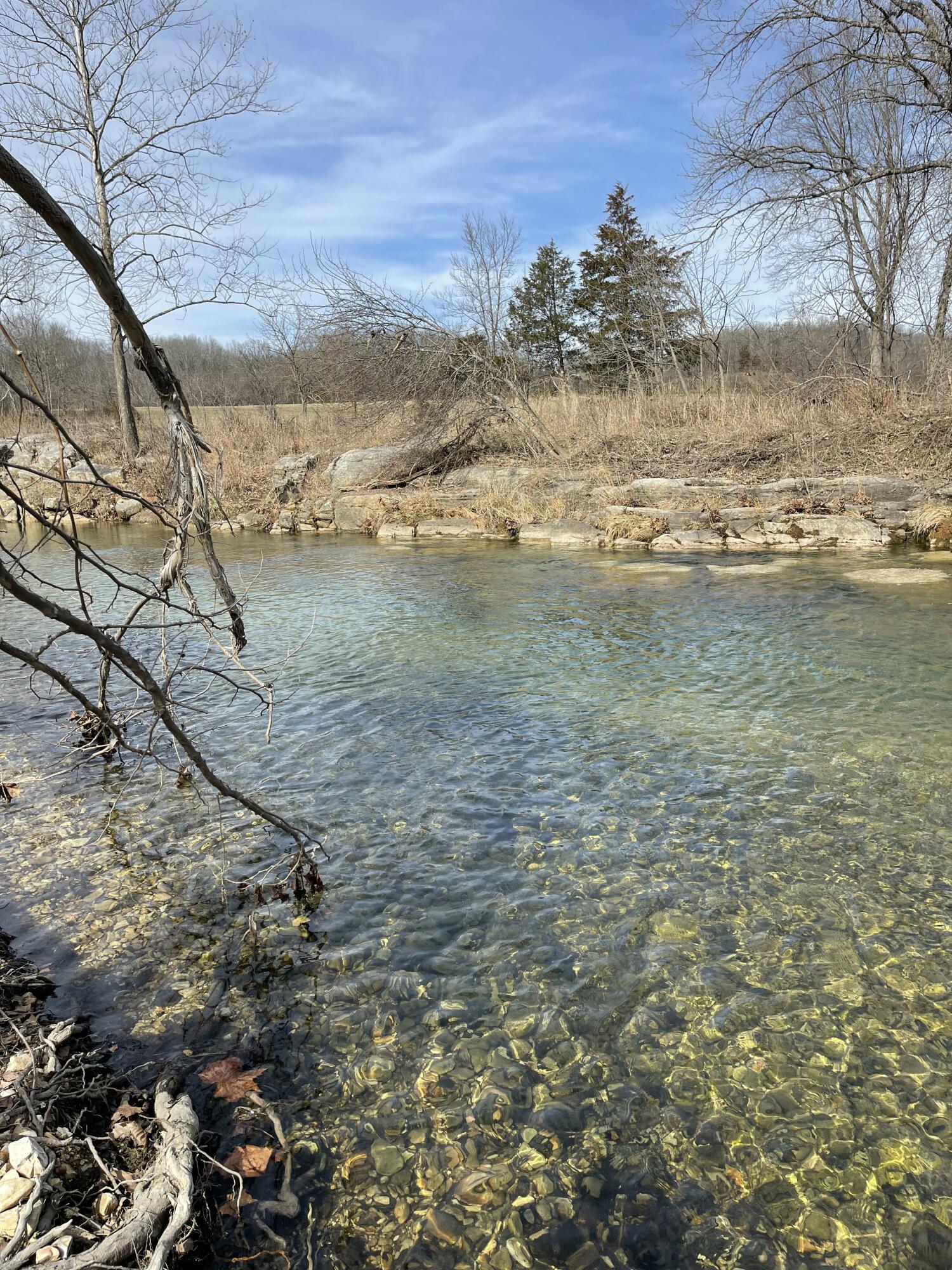 Photo 17 - Land for sale – Tract 1  County Road 14-534   Ava, MO