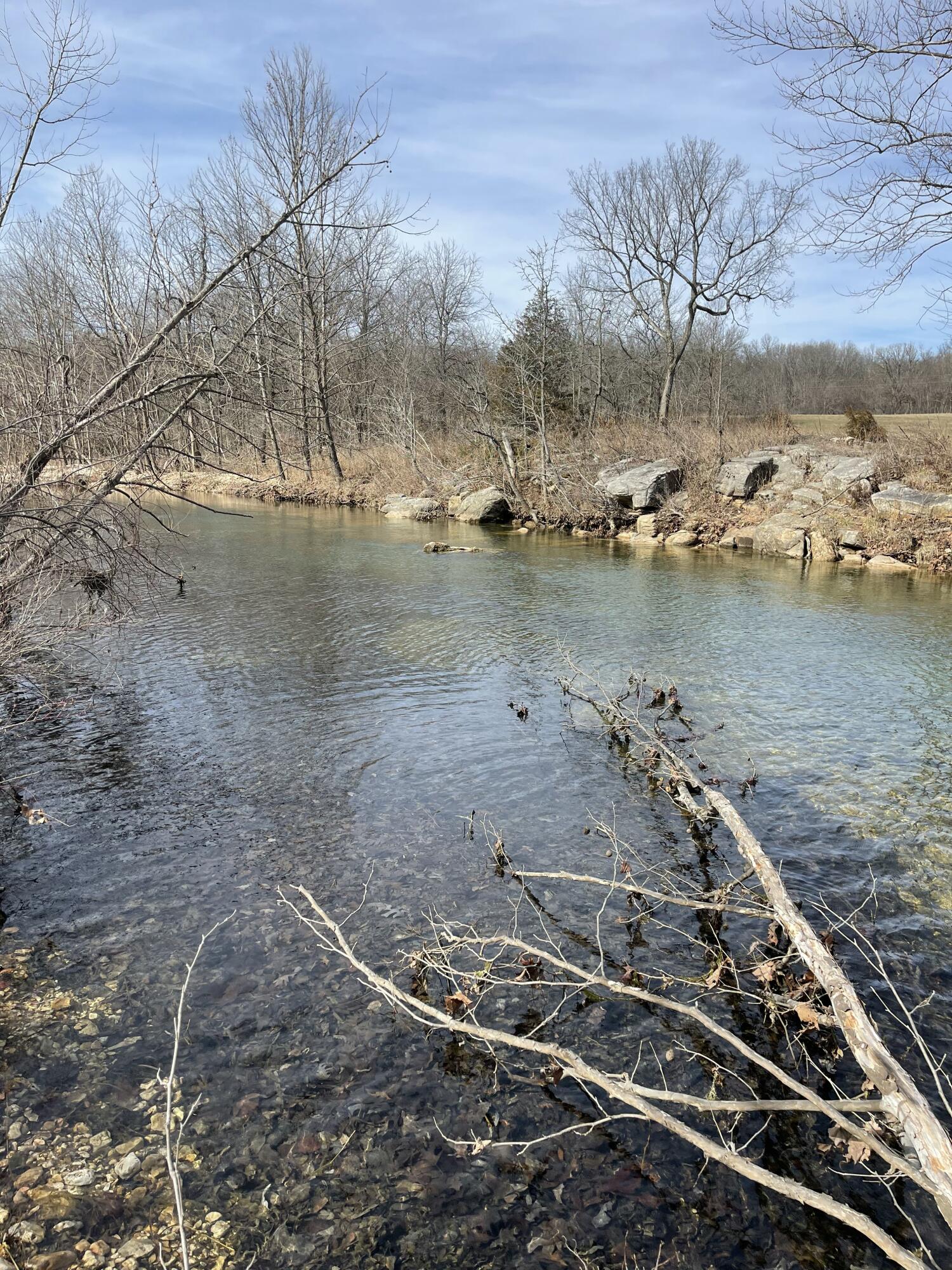 Photo 14 - Land for sale – Tract 1  County Road 14-534   Ava, MO