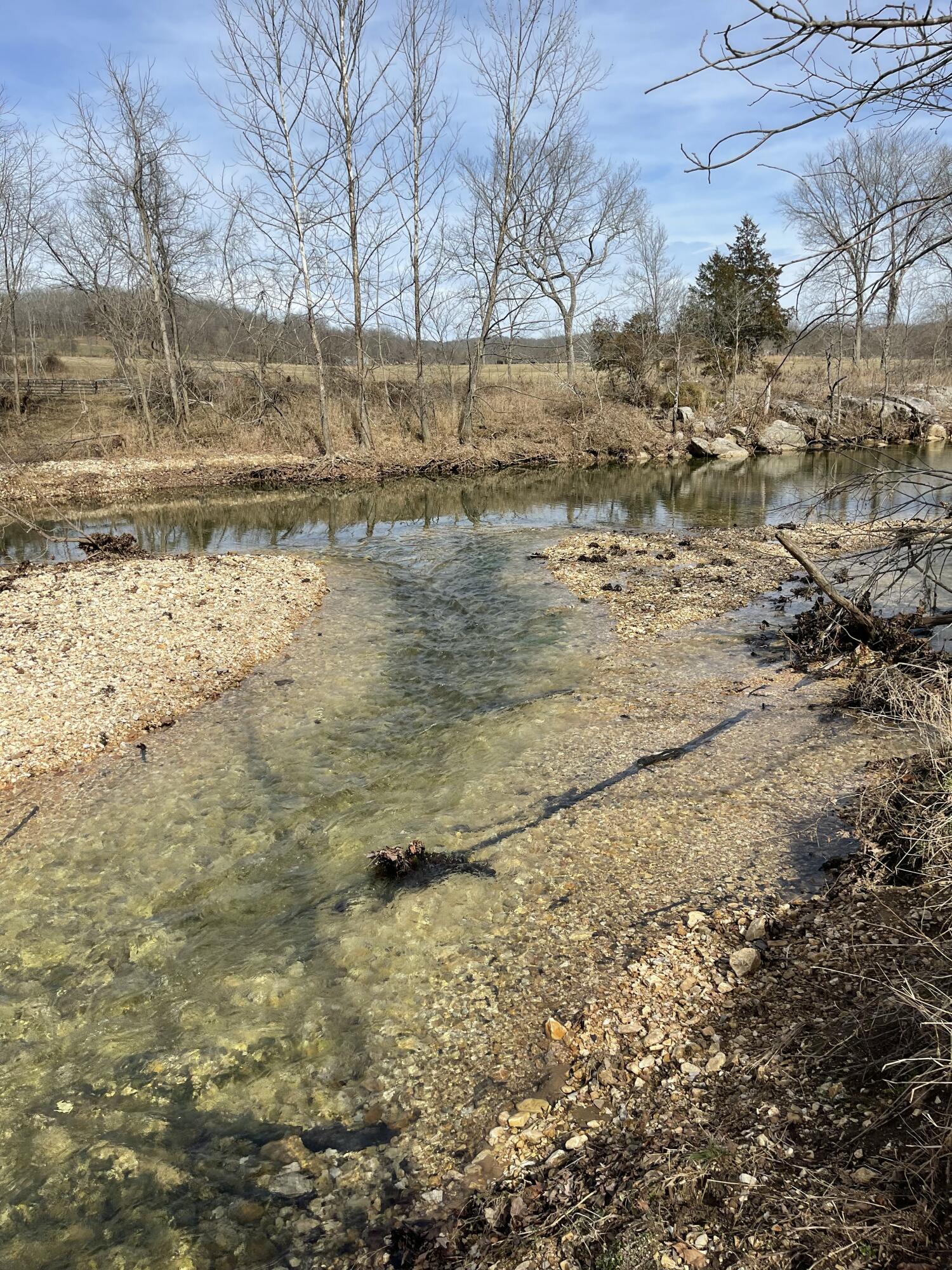 Photo 12 - Land for sale – Tract 1  County Road 14-534   Ava, MO