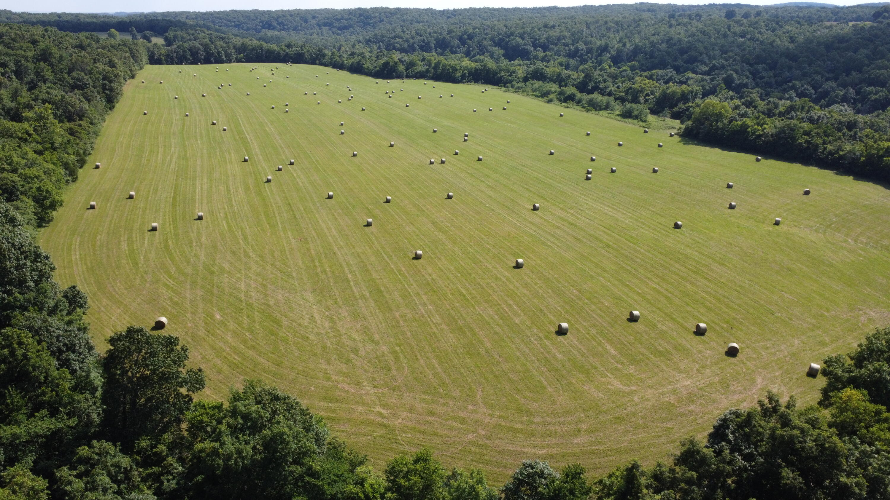 Photo 43 - Land for sale – Tract 1  County Road 14-534   Ava, MO