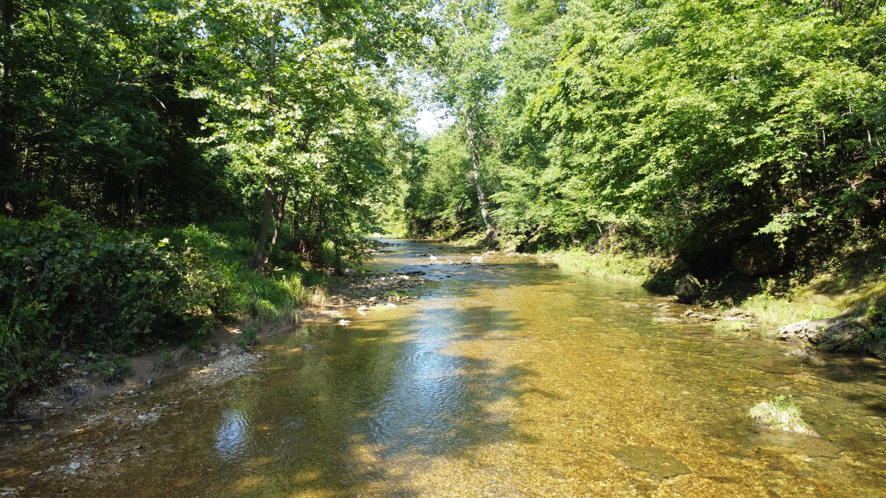 Photo 46 - Land for sale – Tract 1  County Road 14-534   Ava, MO