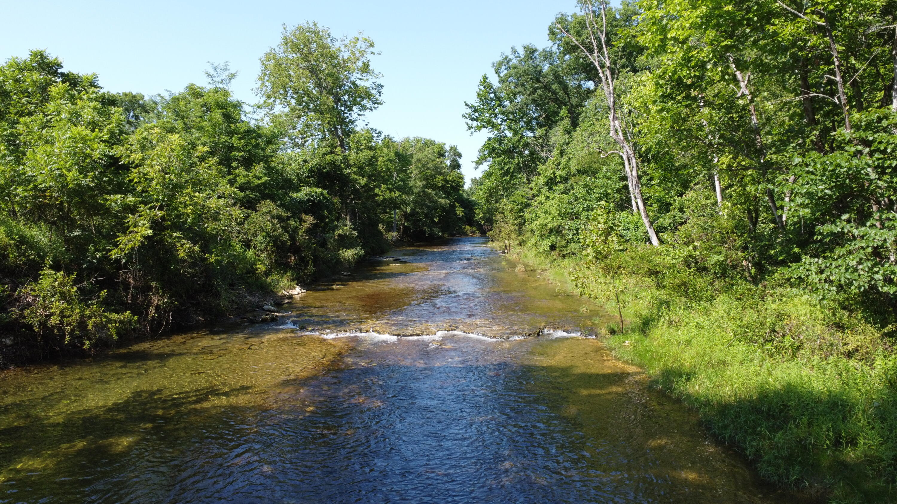 Photo 47 - Land for sale – Tract 1  County Road 14-534   Ava, MO