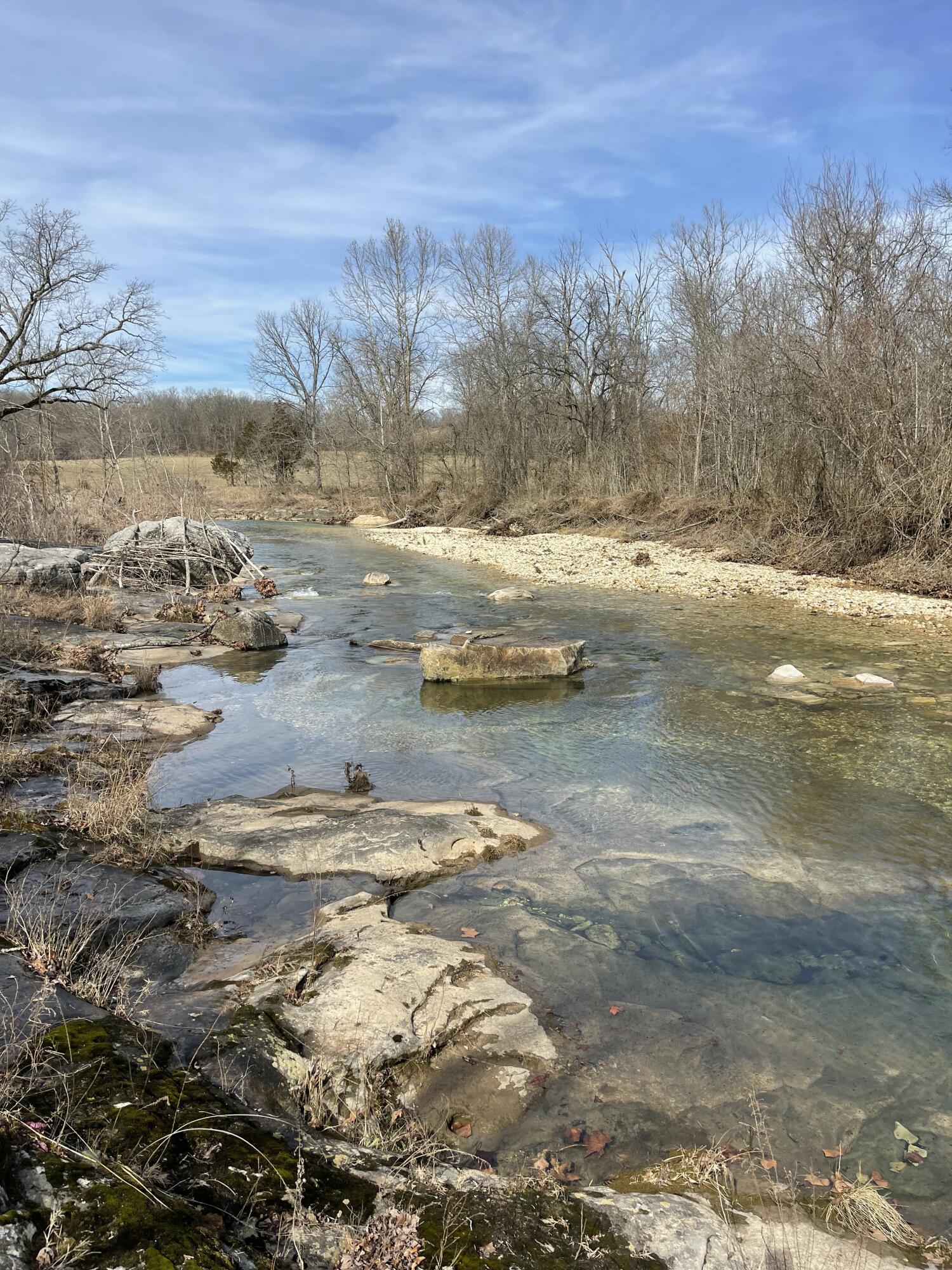 Photo 23 - Land for sale – Tract 1  County Road 14-534   Ava, MO