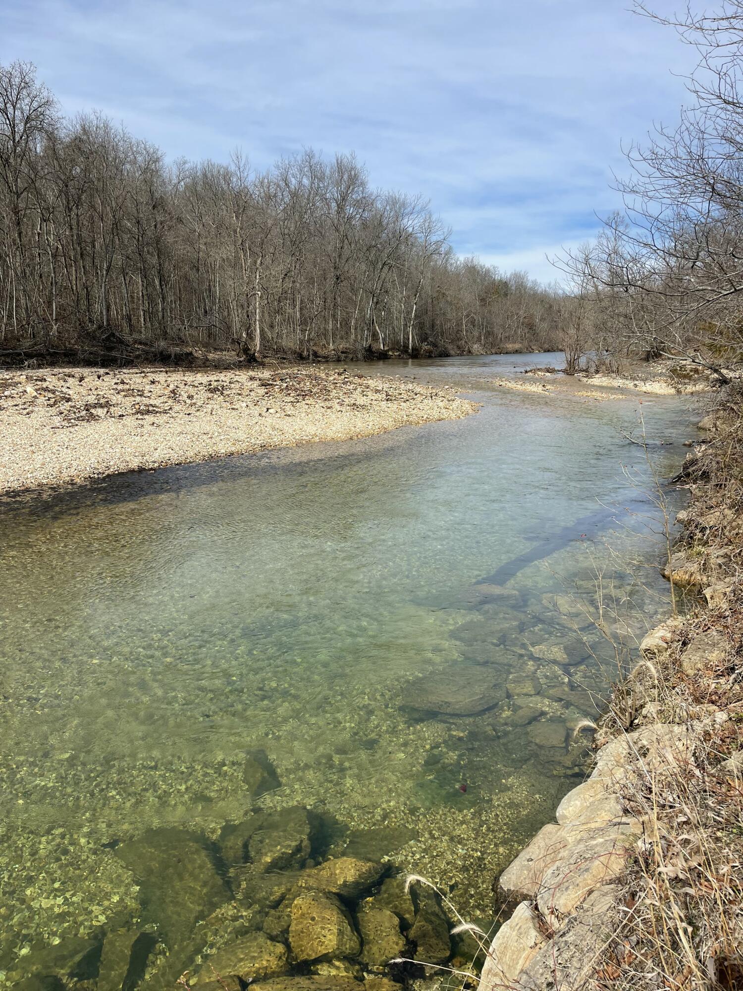 Photo 26 - Land for sale – Tract 1  County Road 14-534   Ava, MO