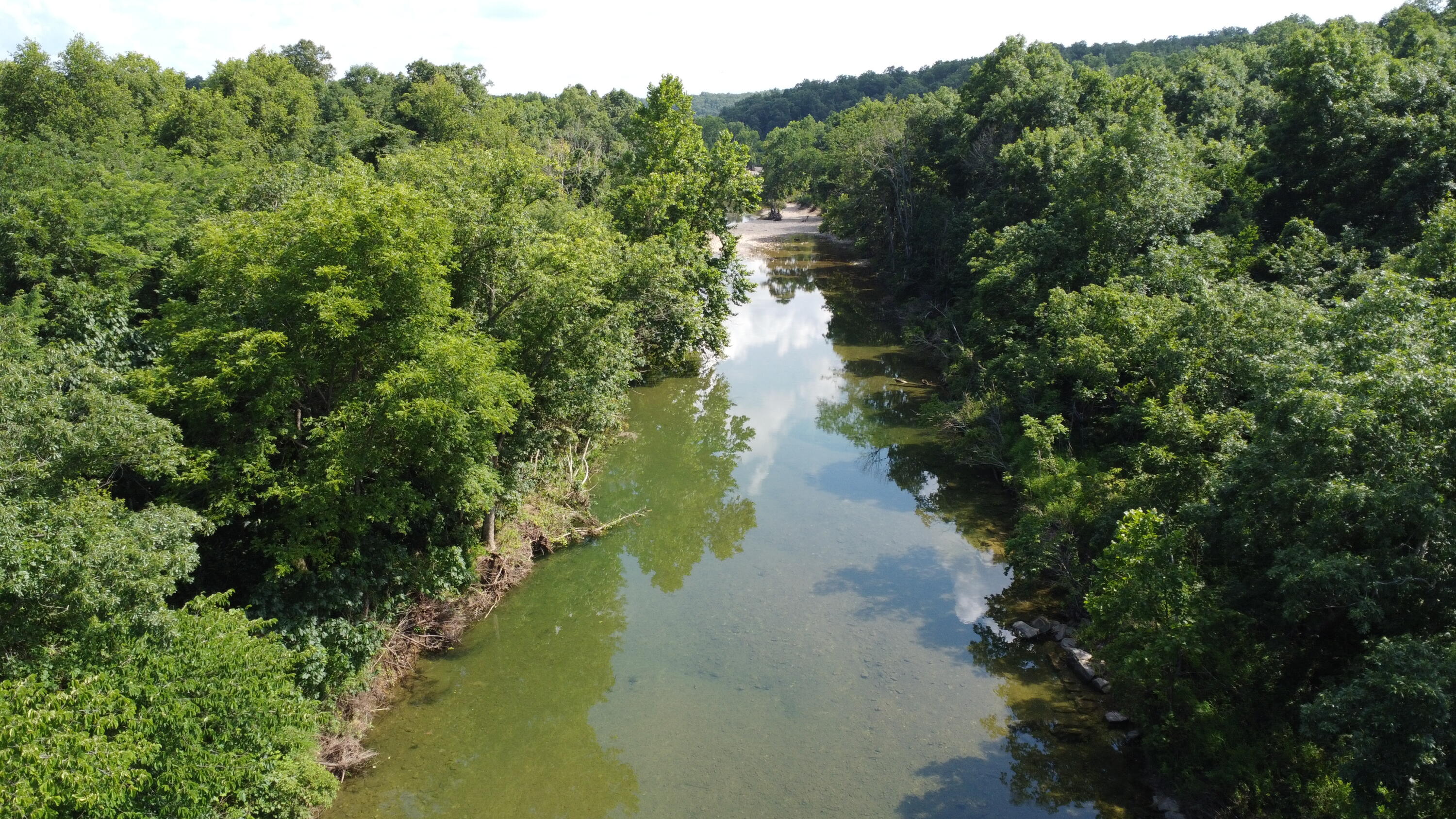 Photo 36 - Land for sale – Tract 1  County Road 14-534   Ava, MO