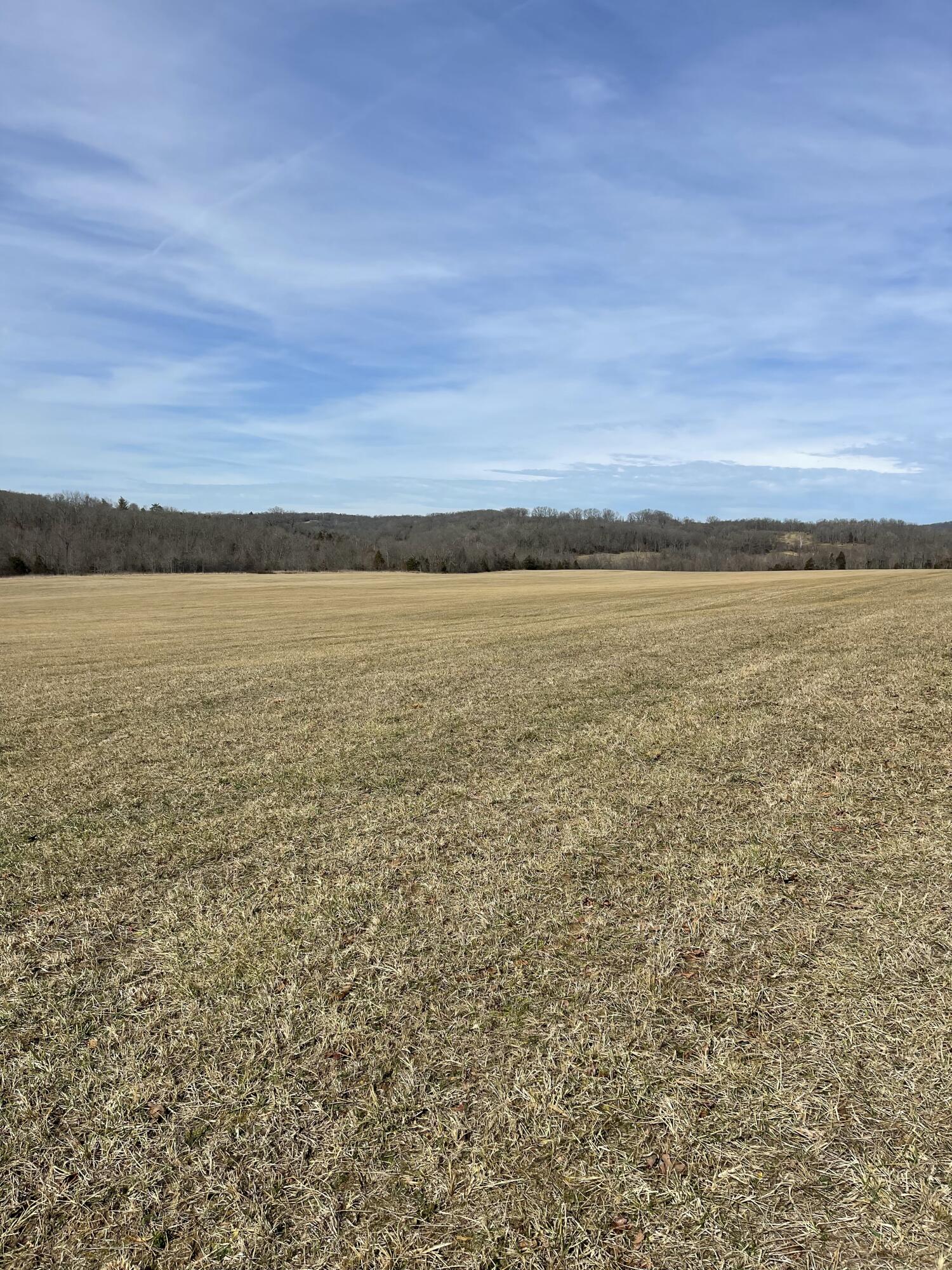 Photo 4 - Land for sale – Tract 1  County Road 14-534   Ava, MO