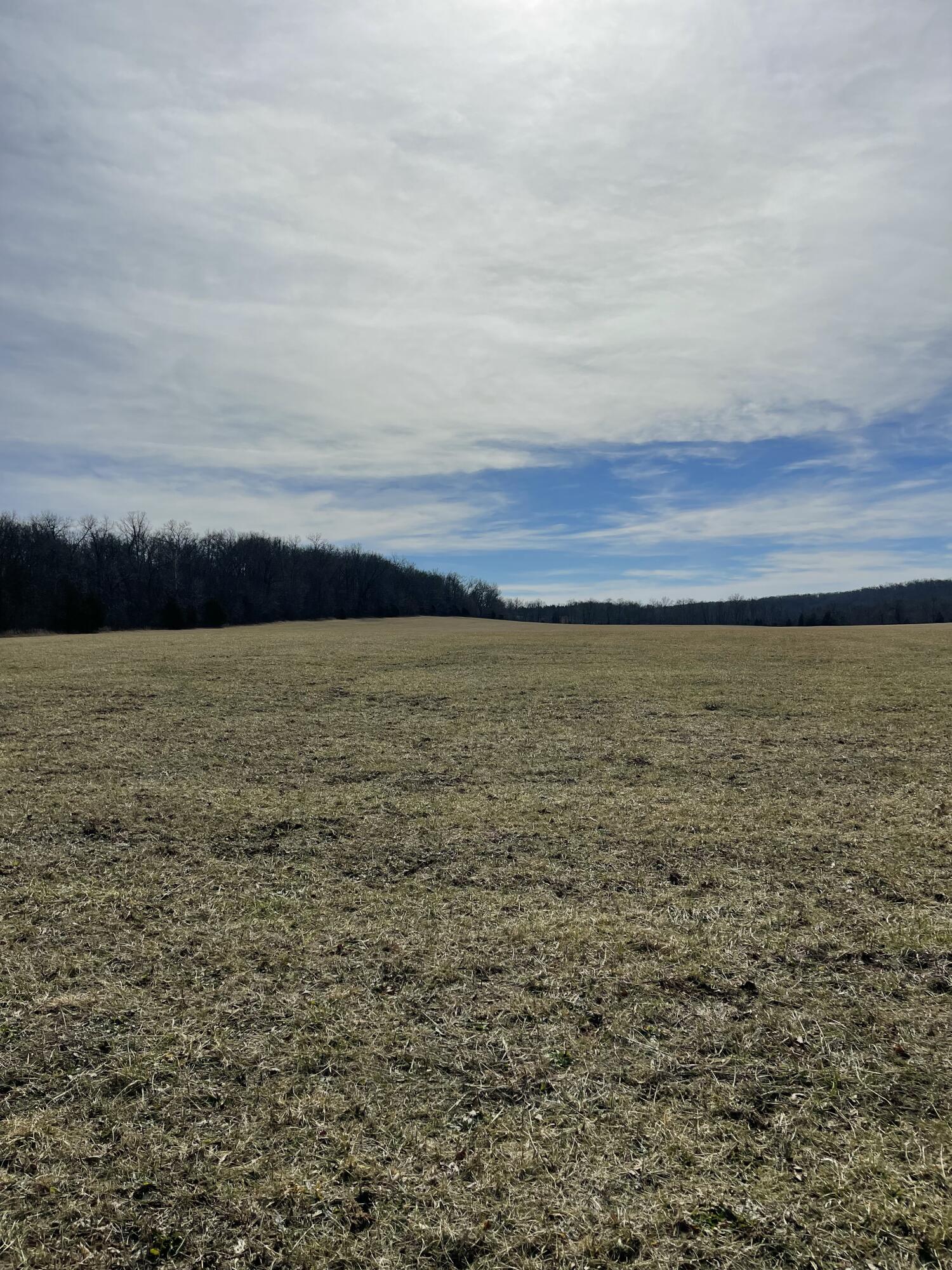 Photo 9 - Land for sale – Tract 1  County Road 14-534   Ava, MO