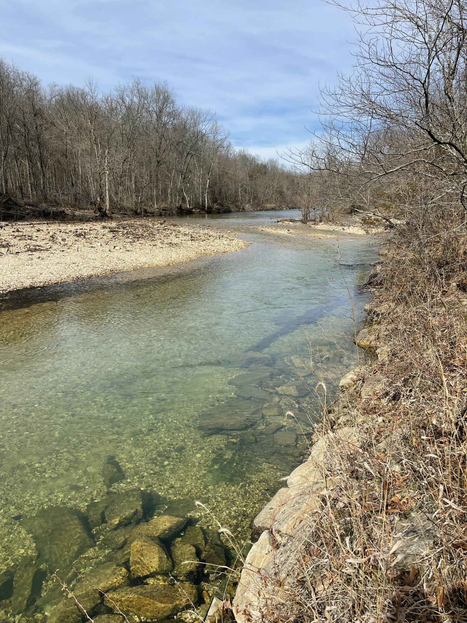 Photo 27 - Land for sale – Tract 1  County Road 14-534   Ava, MO