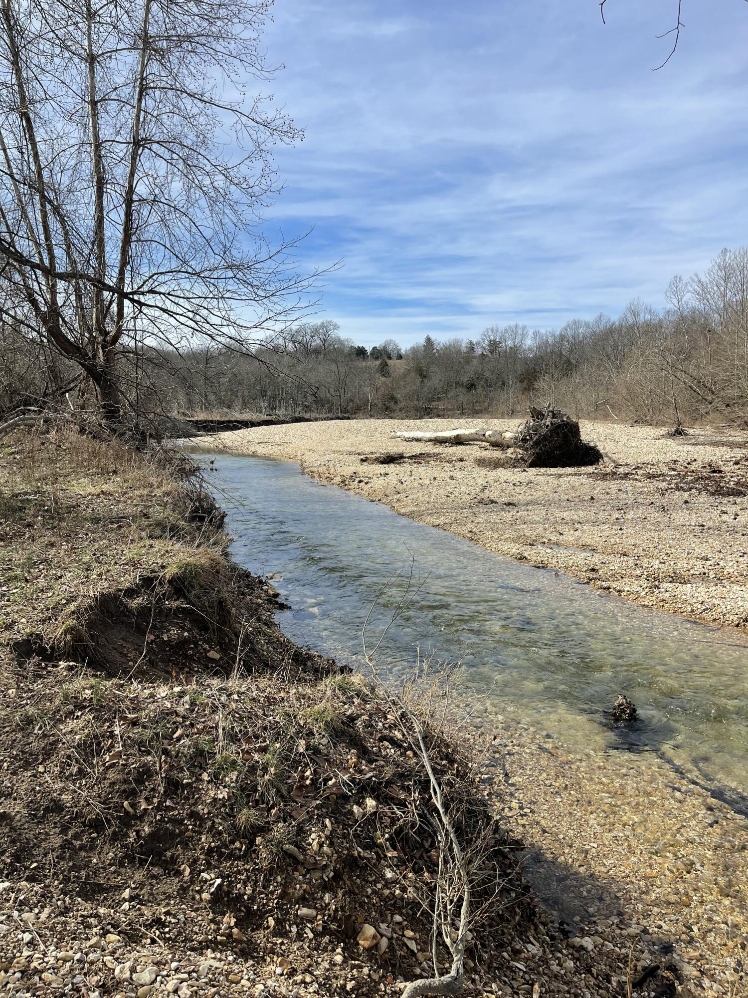Photo 13 - Land for sale – Tract 1  County Road 14-534   Ava, MO