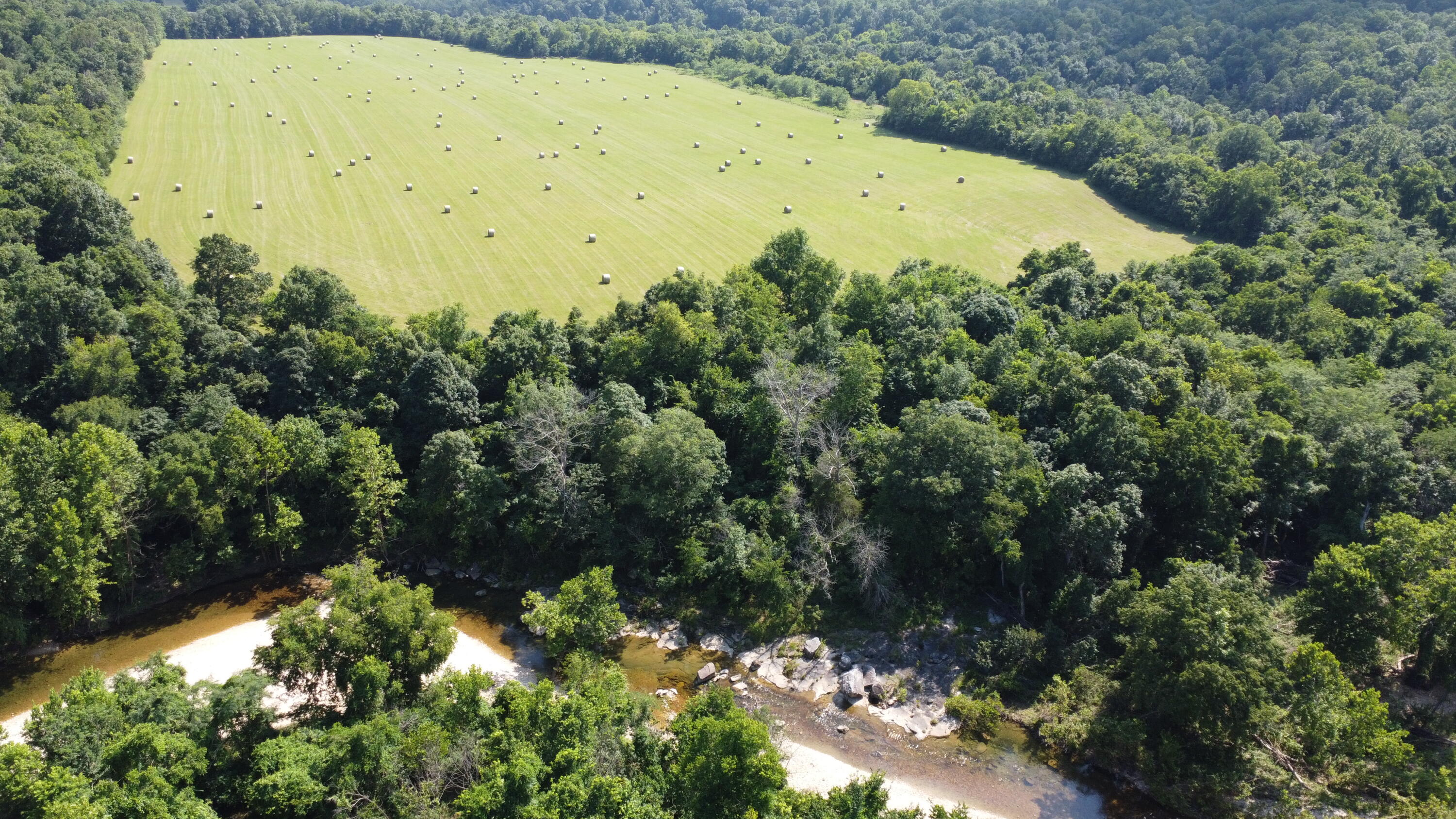 Photo 42 - Land for sale – Tract 1  County Road 14-534   Ava, MO