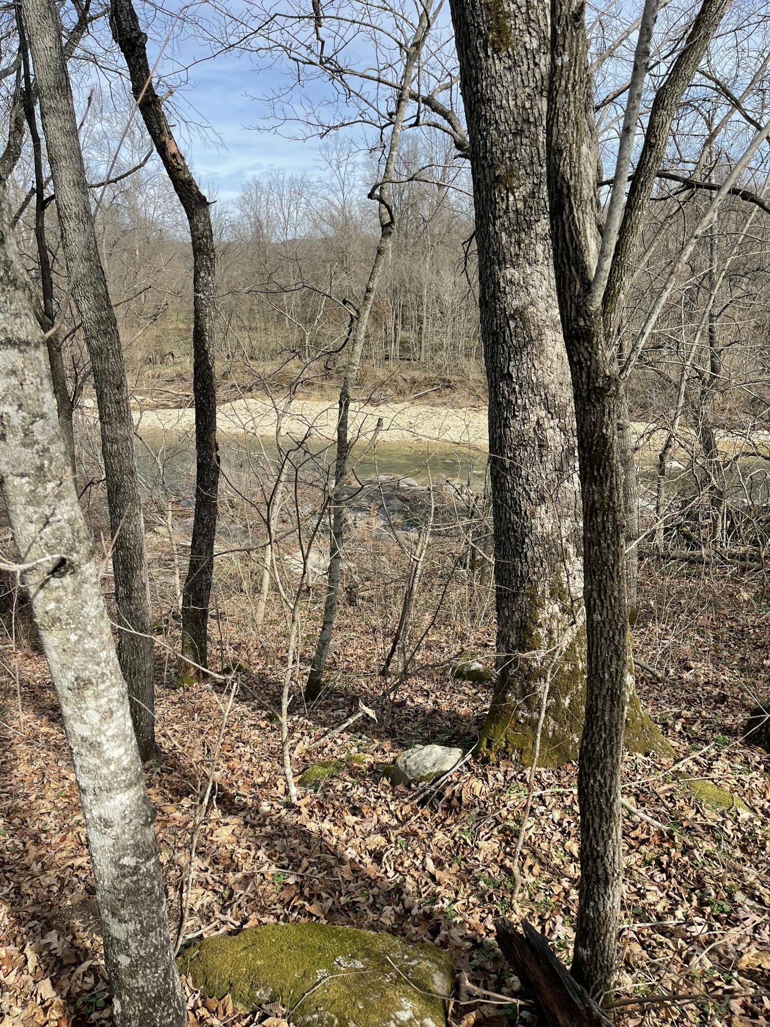 Photo 24 - Land for sale – Tract 1  County Road 14-534   Ava, MO