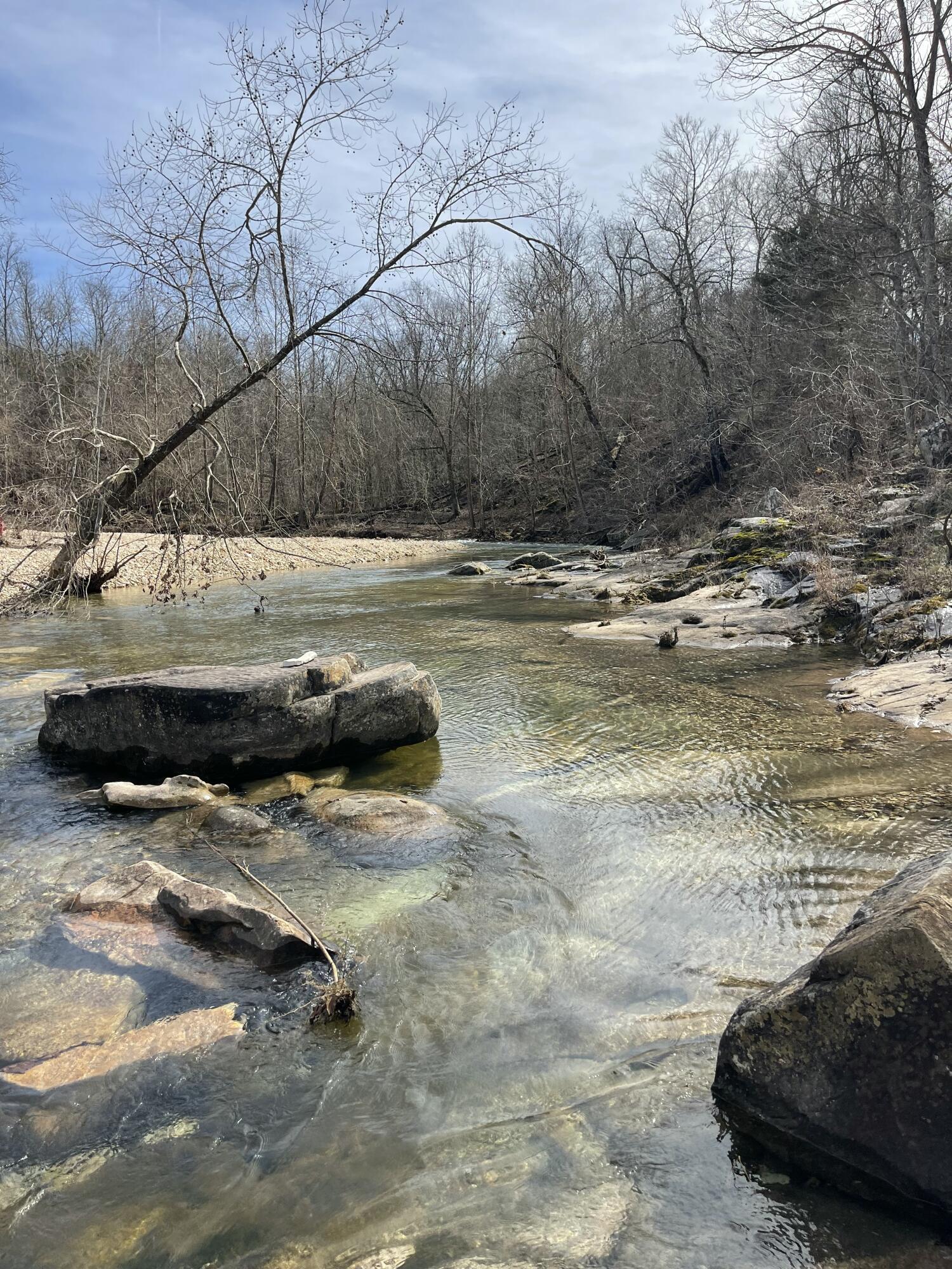 Photo 21 - Land for sale – Tract 1  County Road 14-534   Ava, MO