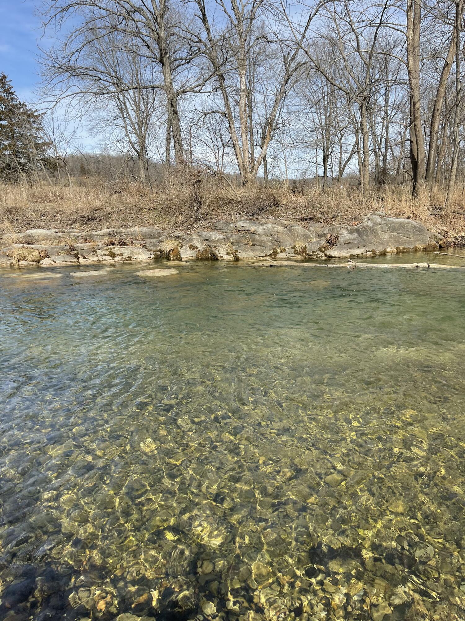 Photo 16 - Land for sale – Tract 1  County Road 14-534   Ava, MO