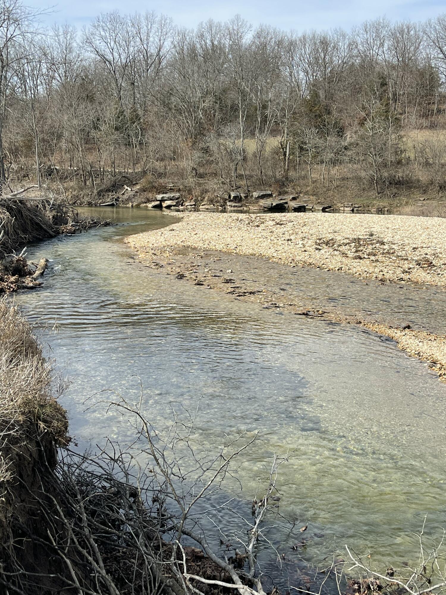 Photo 10 - Land for sale – Tract 1  County Road 14-534   Ava, MO
