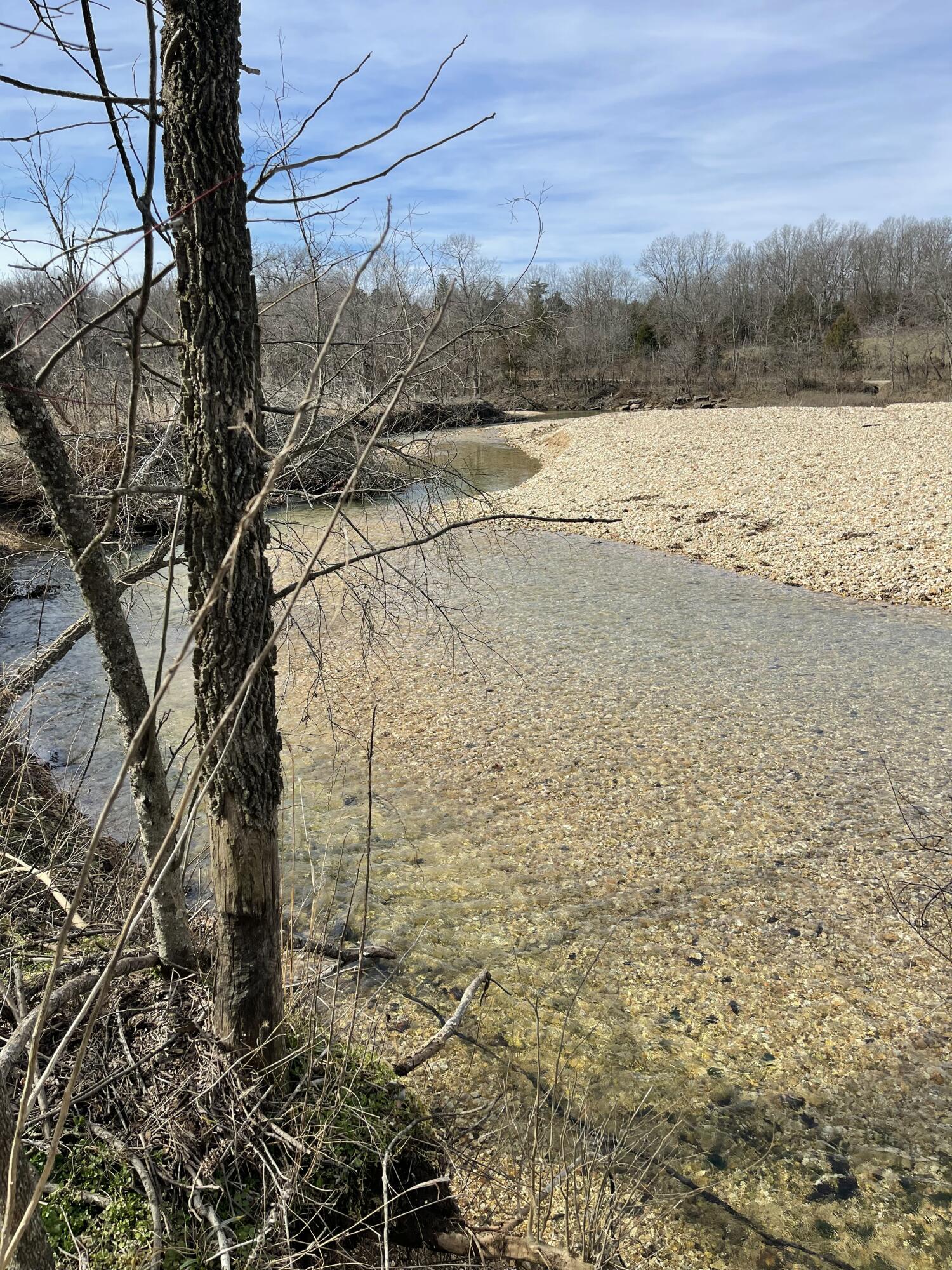 Photo 11 - Land for sale – Tract 1  County Road 14-534   Ava, MO