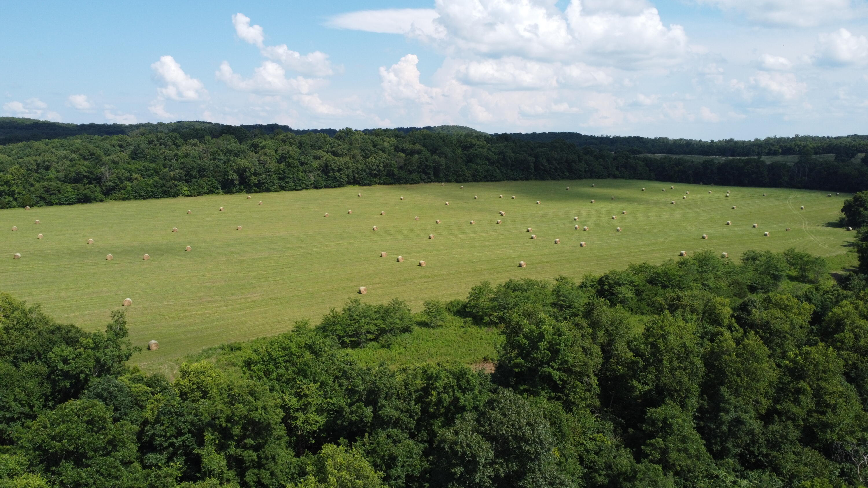 Photo 37 - Land for sale – Tract 1  County Road 14-534   Ava, MO