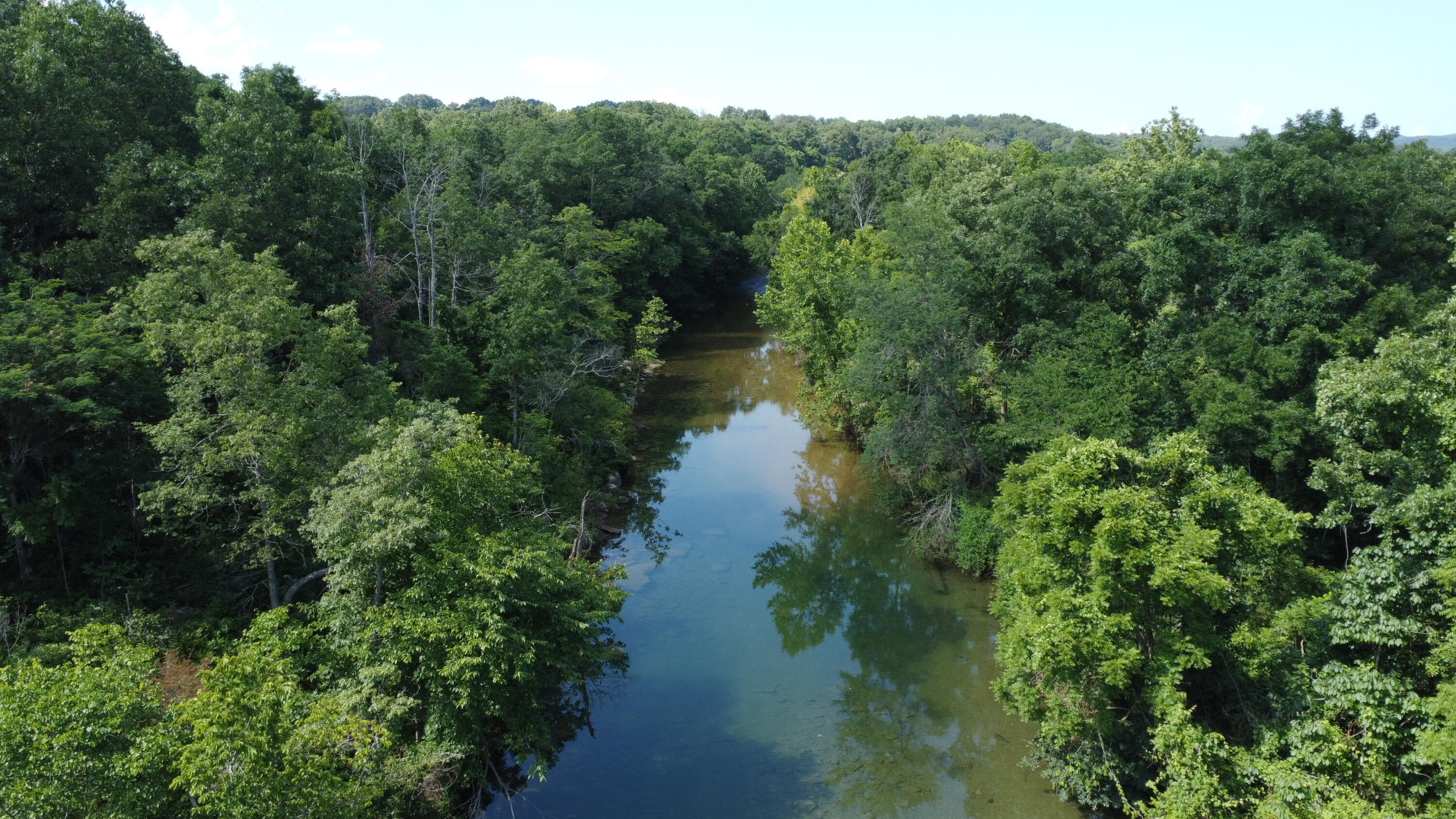 Photo 38 - Land for sale – Tract 1  County Road 14-534   Ava, MO