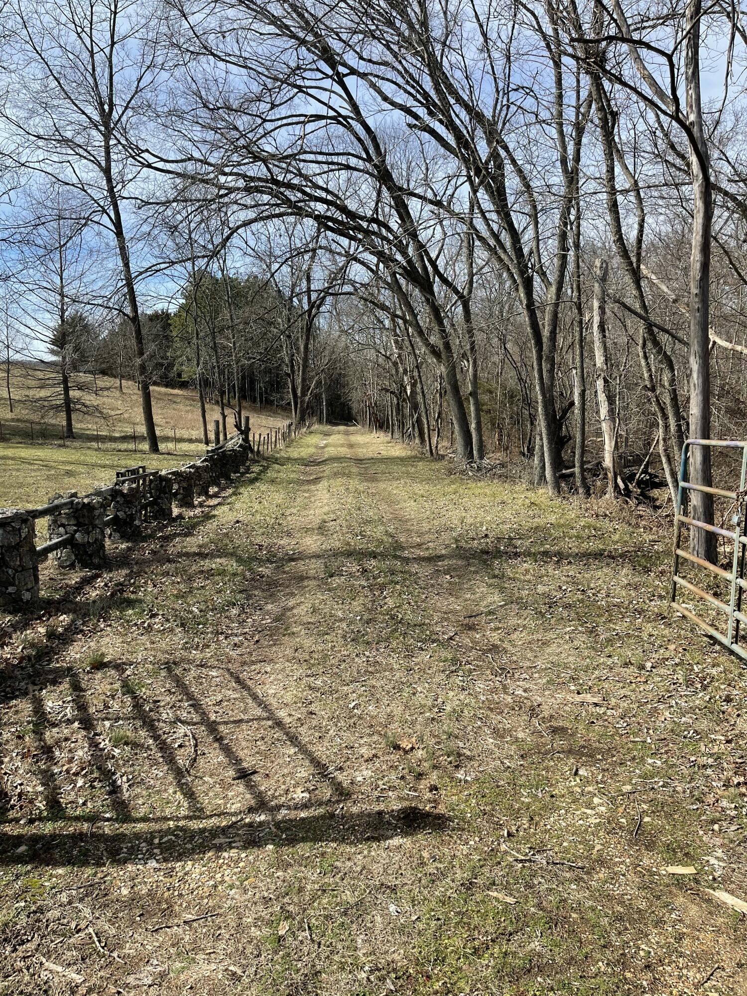 Photo 2 - Land for sale – Tract 1  County Road 14-534   Ava, MO