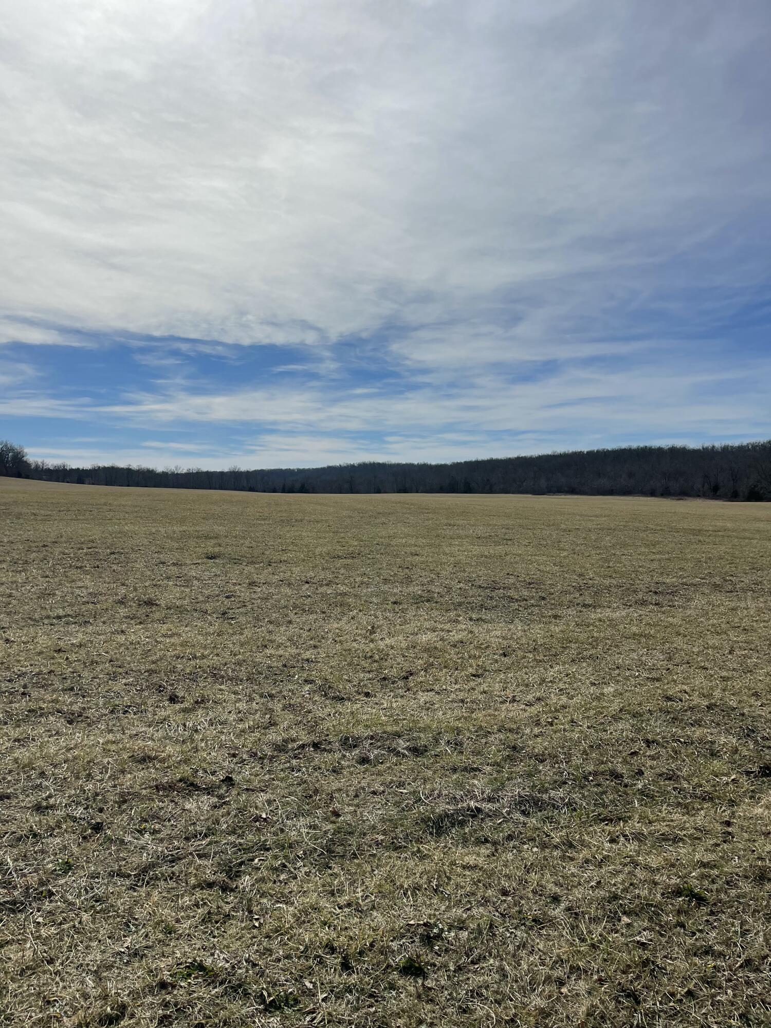 Photo 8 - Land for sale – Tract 1  County Road 14-534   Ava, MO