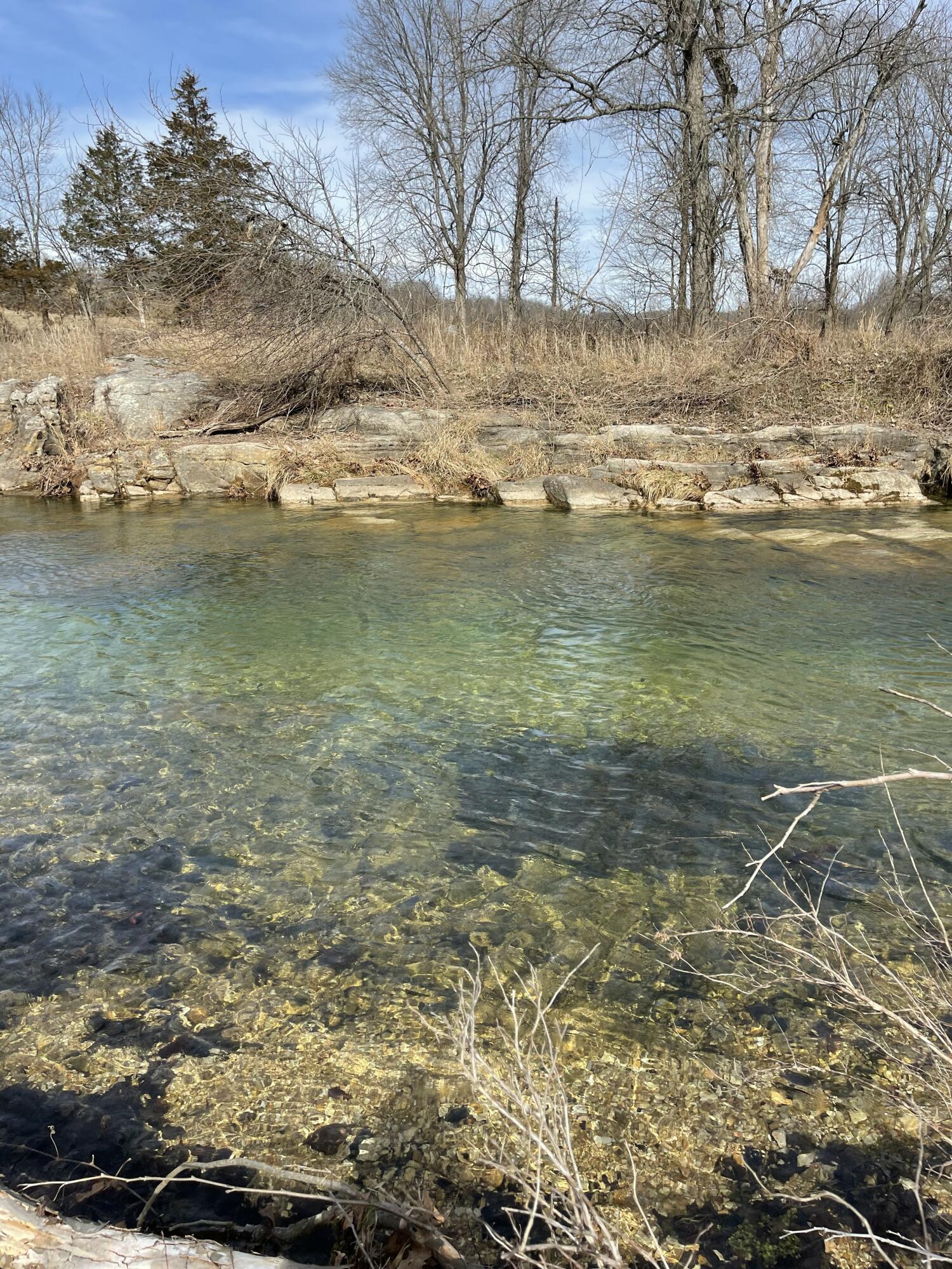 Photo 15 - Land for sale – Tract 1  County Road 14-534   Ava, MO