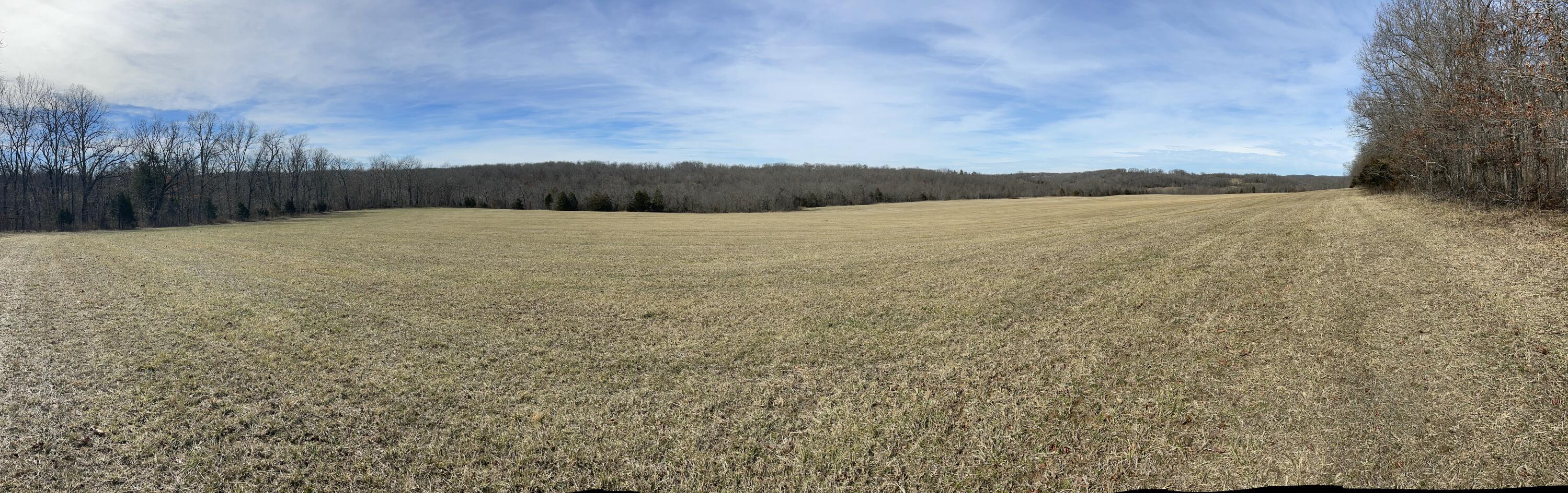 Photo 7 - Land for sale – Tract 1  County Road 14-534   Ava, MO
