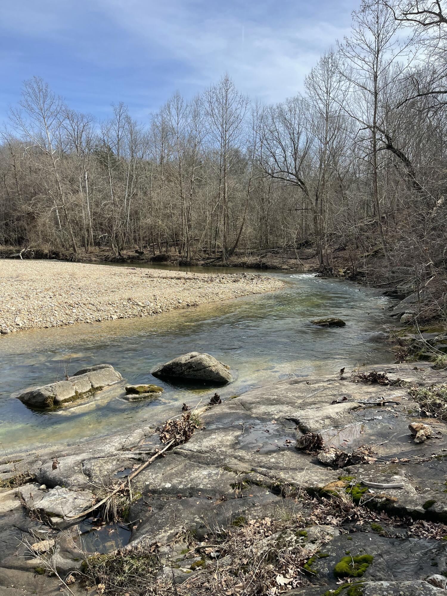 Photo 22 - Land for sale – Tract 1  County Road 14-534   Ava, MO