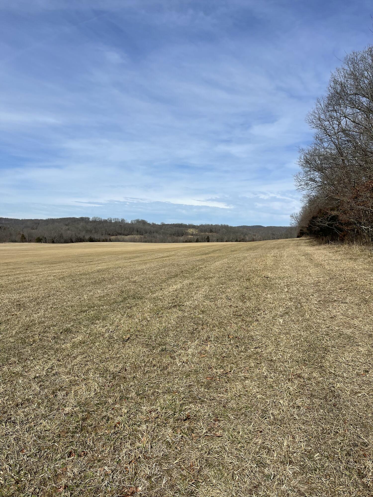 Photo 5 - Land for sale – Tract 1  County Road 14-534   Ava, MO