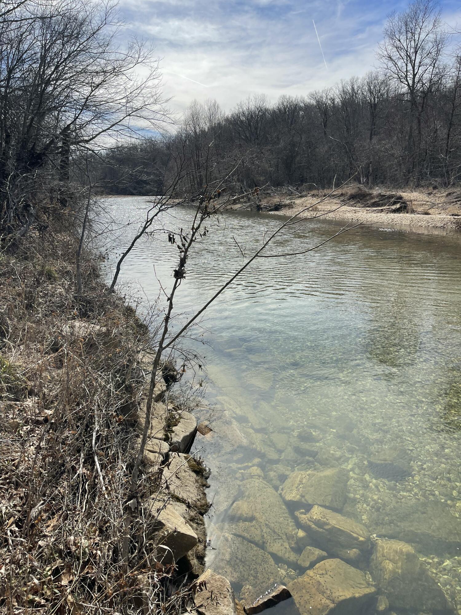 Photo 28 - Land for sale – Tract 1  County Road 14-534   Ava, MO