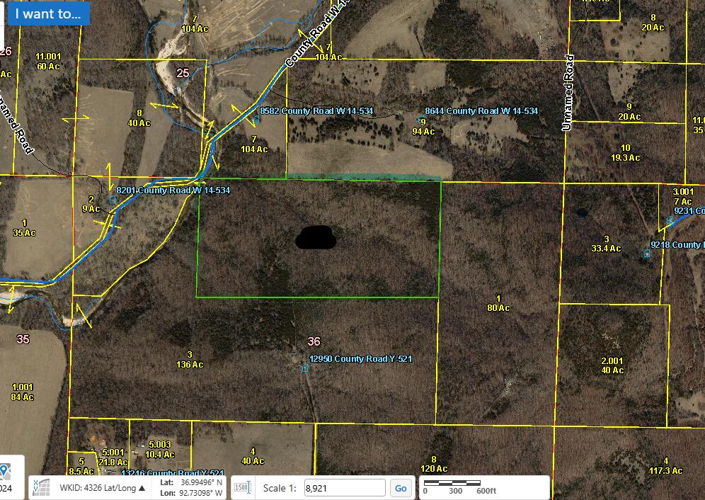 Photo 4 - Land for sale – Tract 2  County Road 14-534   Ava, MO