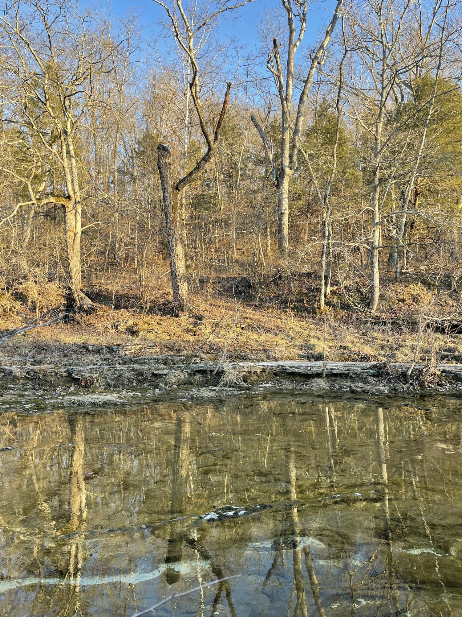 Land for sale – Tract 2  County Road 14-534   Ava, MO