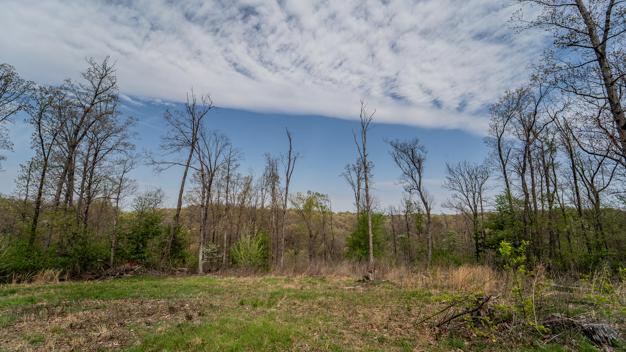 Photo 53 - Residential for sale – 21722  Sibley Road  Sulphur Springs, AR