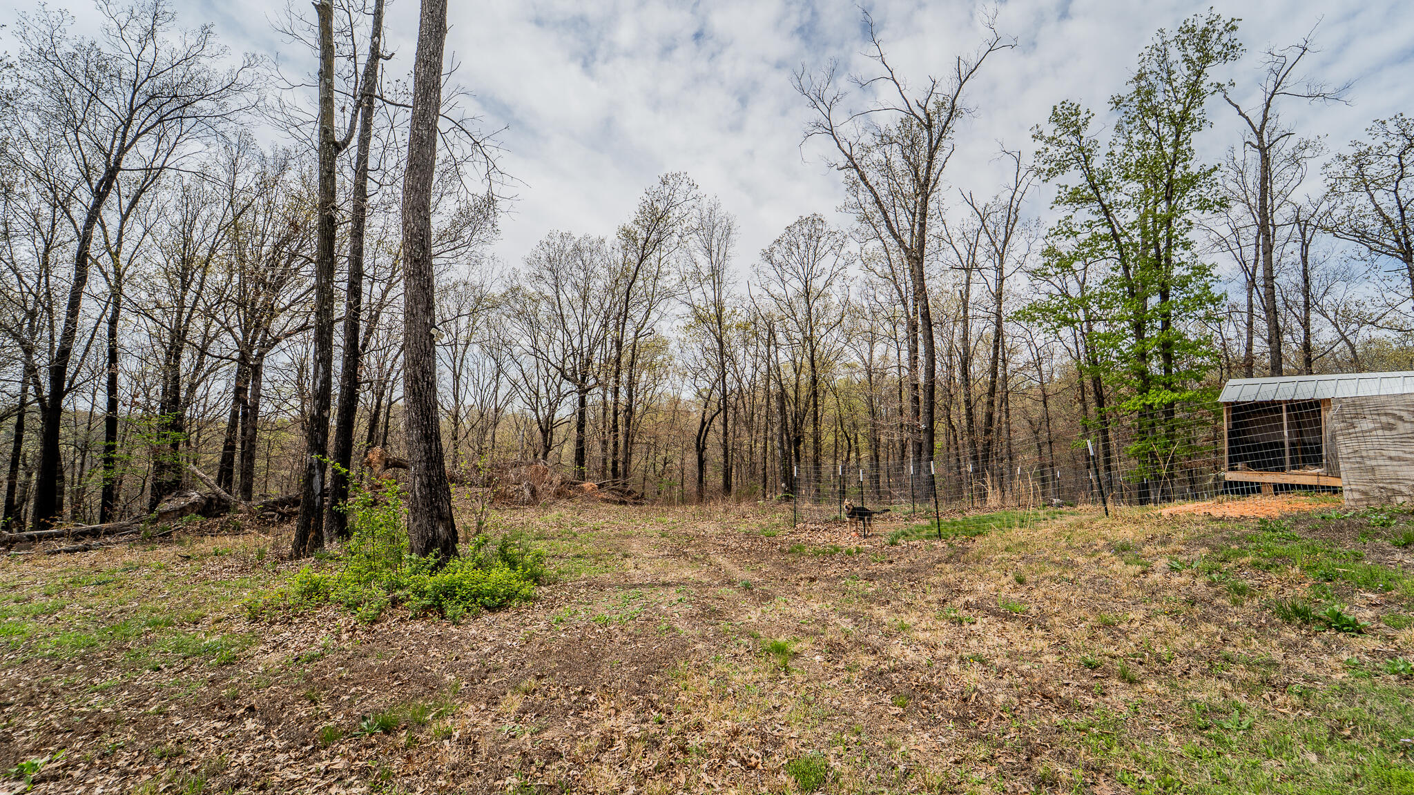 Photo 29 - Residential for sale – 21722  Sibley Road  Sulphur Springs, AR