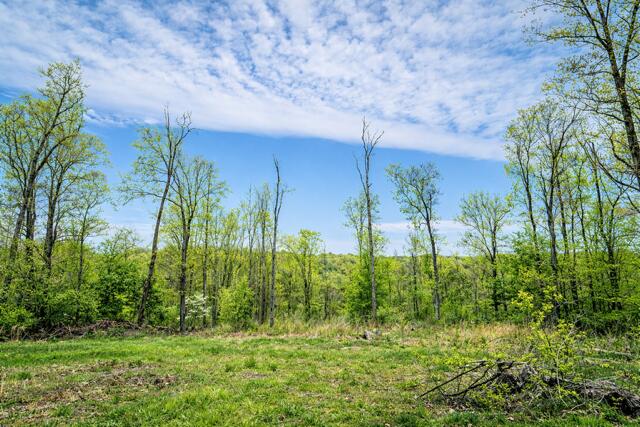 Photo 31 - Residential for sale – 21722  Sibley Road  Sulphur Springs, AR