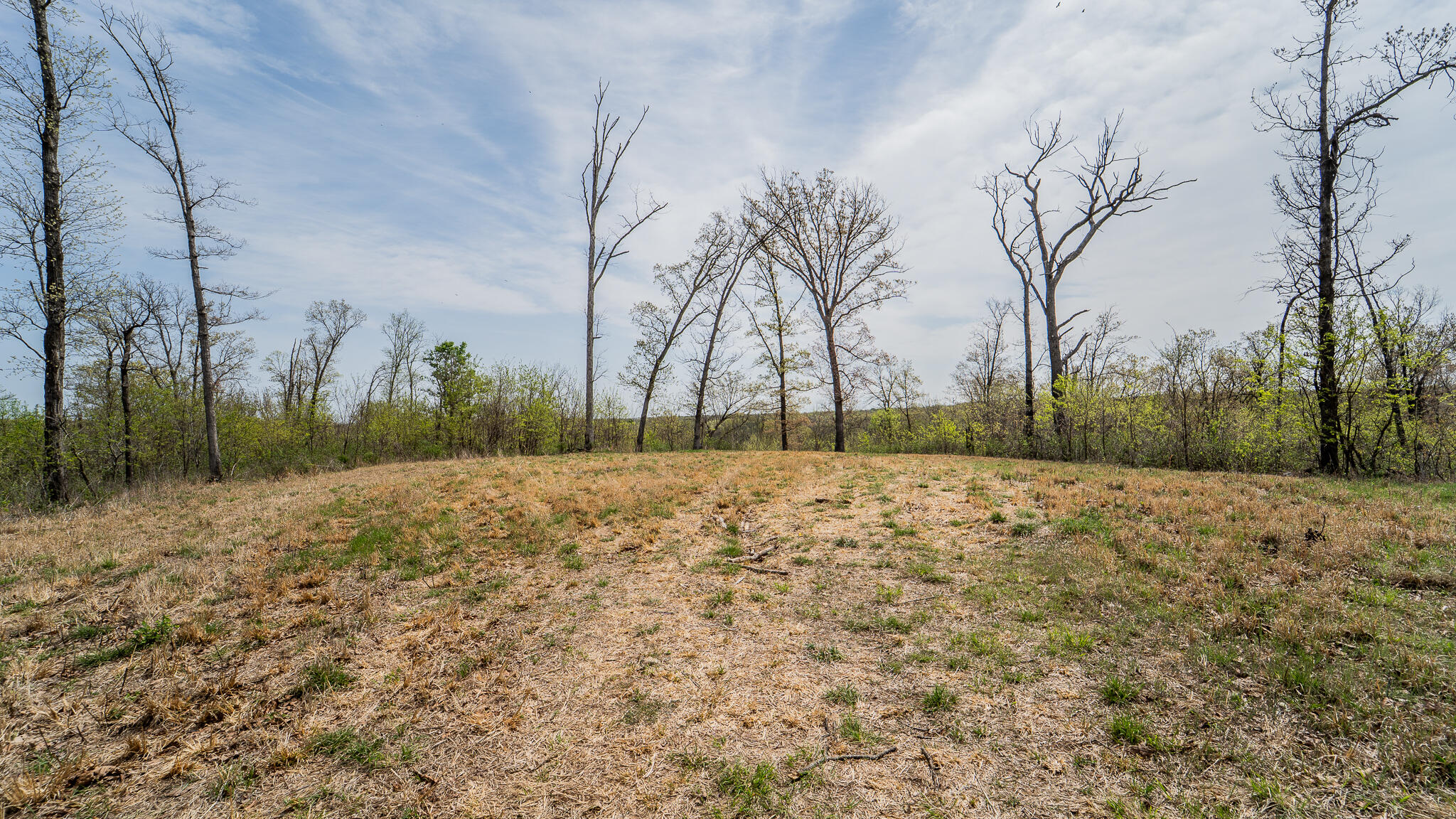 Photo 41 - Residential for sale – 21722  Sibley Road  Sulphur Springs, AR