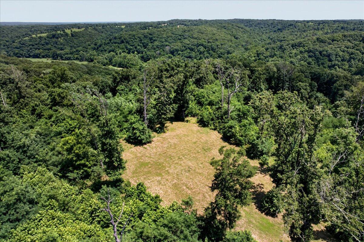Photo 69 - Residential for sale – 21722  Sibley Road  Sulphur Springs, AR