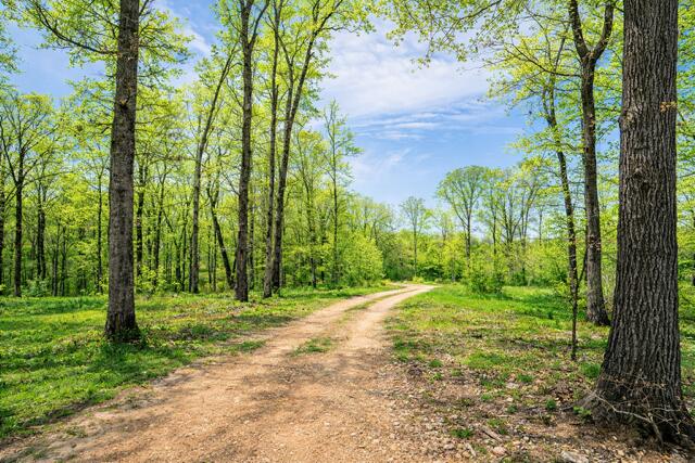 Photo 33 - Residential for sale – 21722  Sibley Road  Sulphur Springs, AR