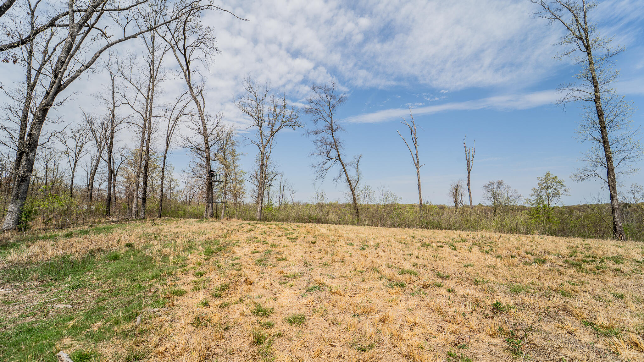 Photo 43 - Residential for sale – 21722  Sibley Road  Sulphur Springs, AR