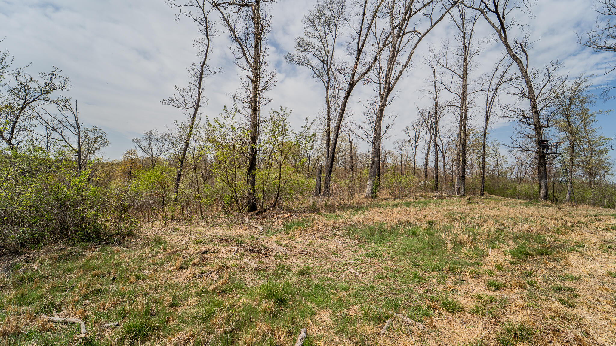 Photo 42 - Residential for sale – 21722  Sibley Road  Sulphur Springs, AR