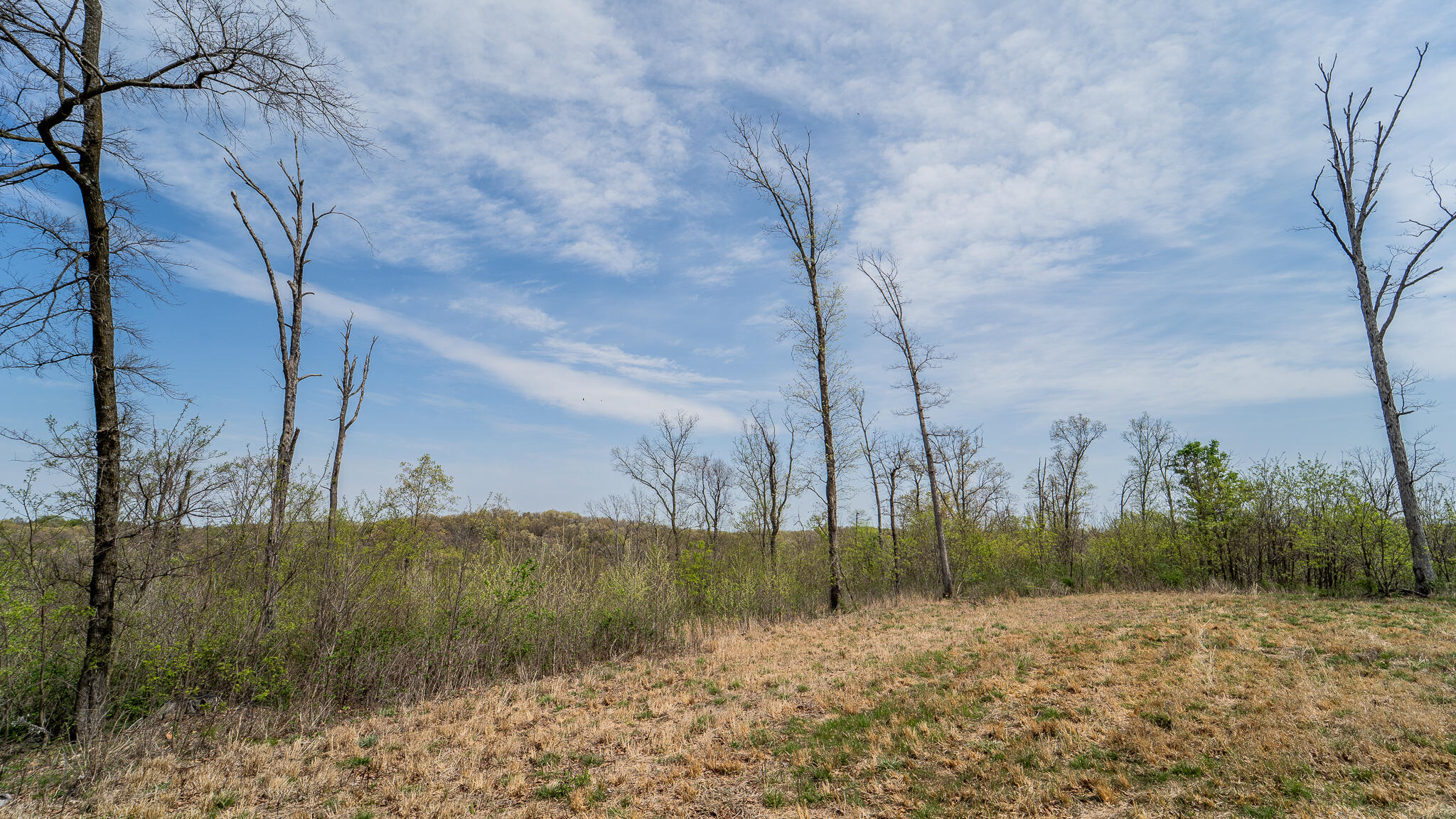 Photo 44 - Residential for sale – 21722  Sibley Road  Sulphur Springs, AR