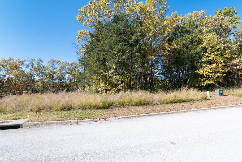 Photo 5 - Land for sale – Lot 1  Redwine Avenue  Branson, MO