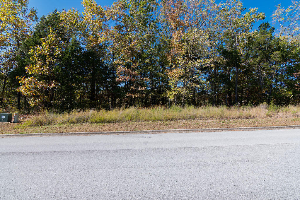 Photo 6 - Land for sale – Lot 2  Redwine Avenue  Branson, MO