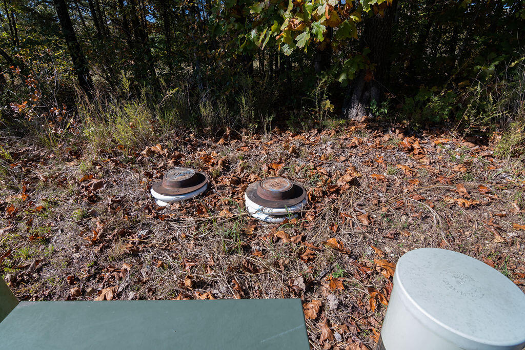 Photo 8 - Land for sale – Lot 2  Redwine Avenue  Branson, MO