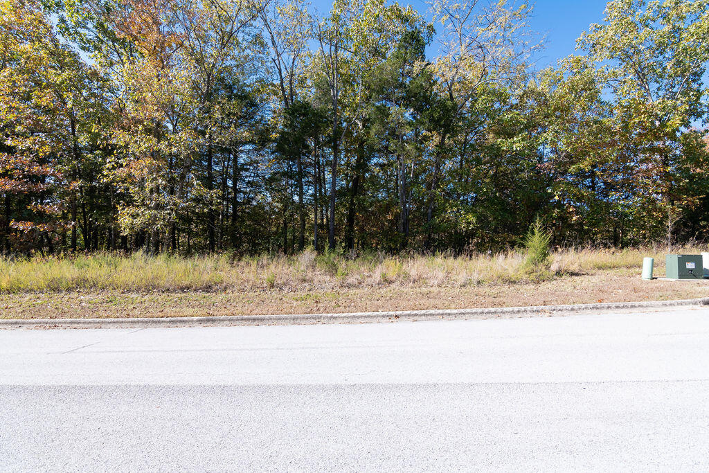 Photo 5 - Land for sale – Lot 3  Redwine Avenue  Branson, MO